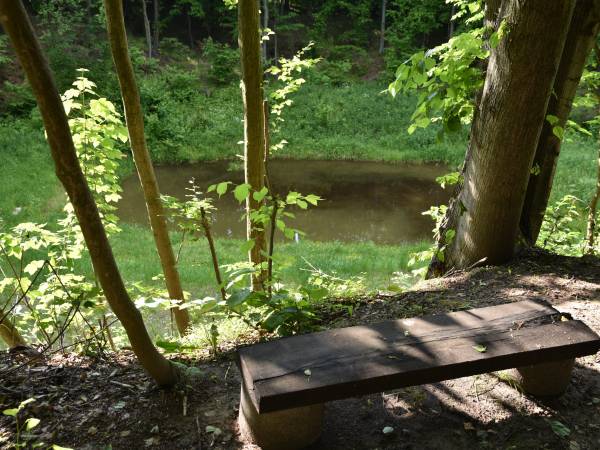 widok na staw z góry