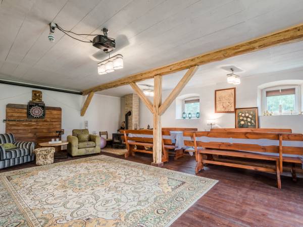 sala kominkowa z TV, rzutnik