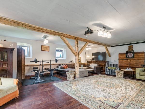 sala kominkowa z TV, rzutnik