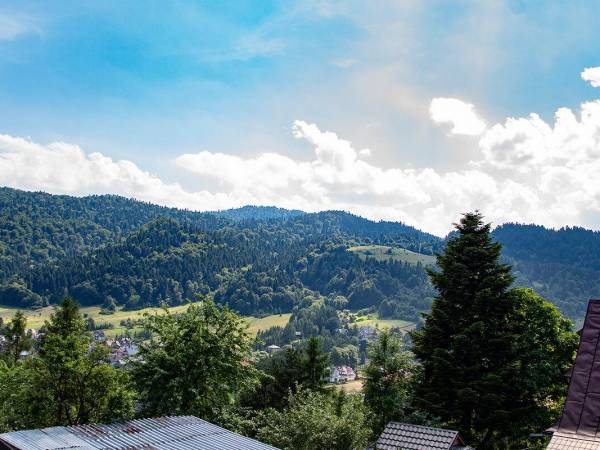 Pokoje Gościnne u Wiki