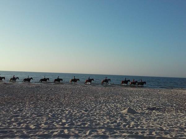 takie widoki niemal co dzień