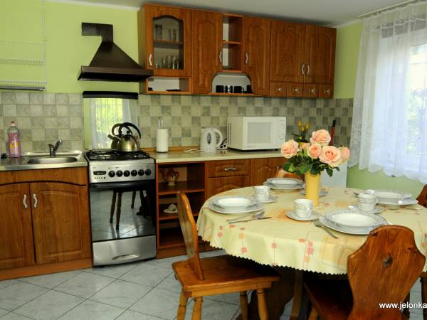 Apartament 4-osobowy kuchnia