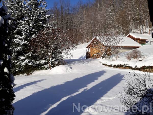 styczeń 2019 widok z ganku