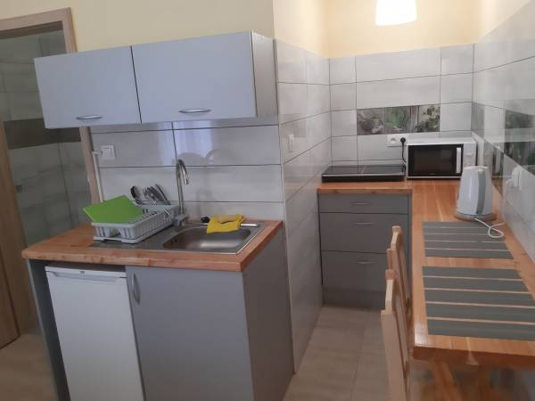 kuchnia w apartamencie