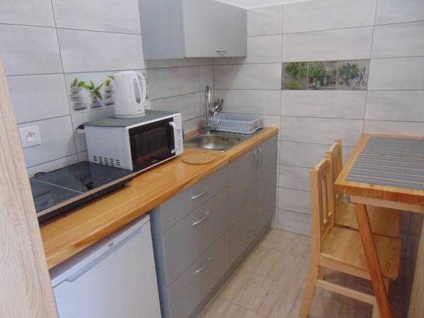 kuchnia w apartamencie