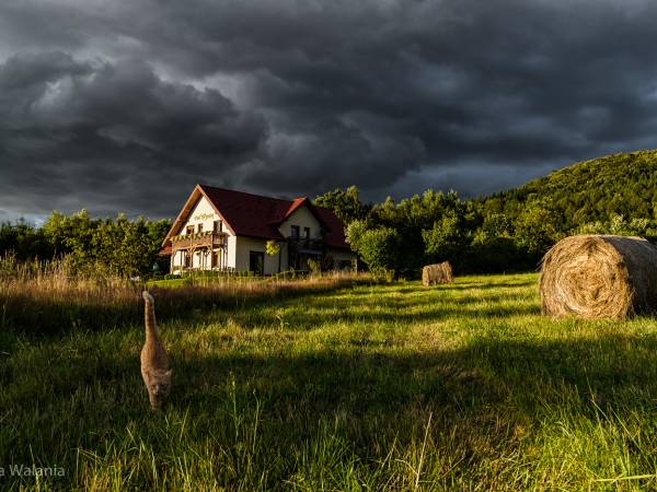 Pokoje Gościnne Pod Wysotą