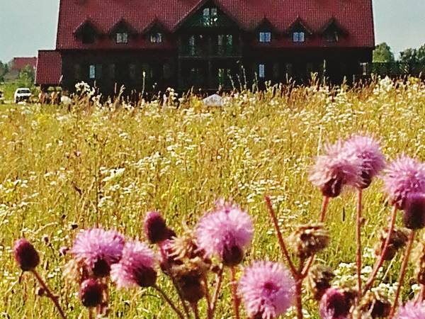 Natura wokół obiektu i tylko 10 min. do centrum Mikołajek