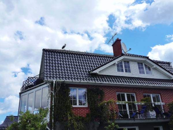 Zwiastun wiosny ( bocian) na dachu