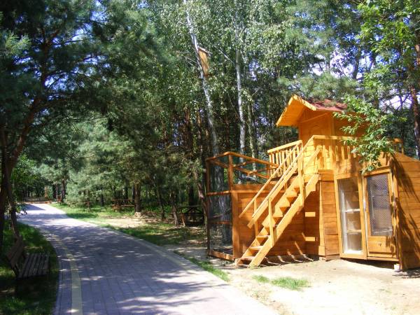 teren leśny ośrodka