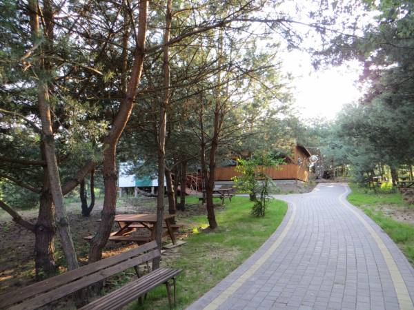 zielony teren ośrodka