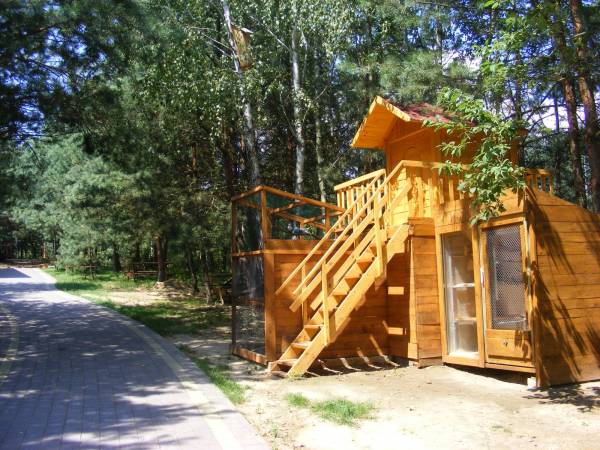 Domki Letniskowe Cyprys