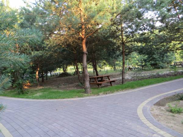 Domki Letniskowe Cyprys