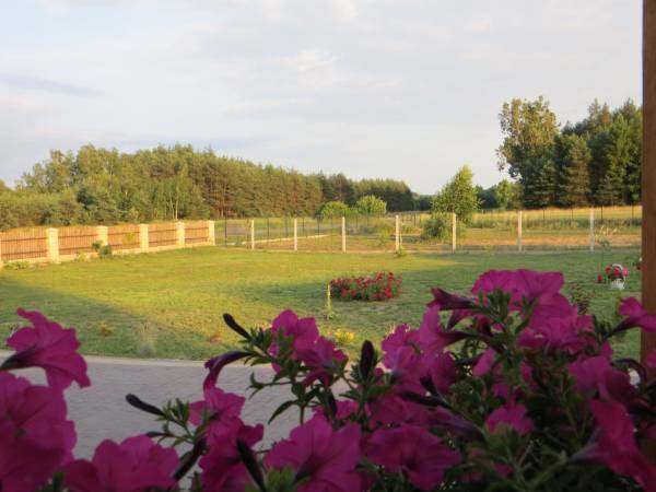 Domki Letniskowe Cyprys