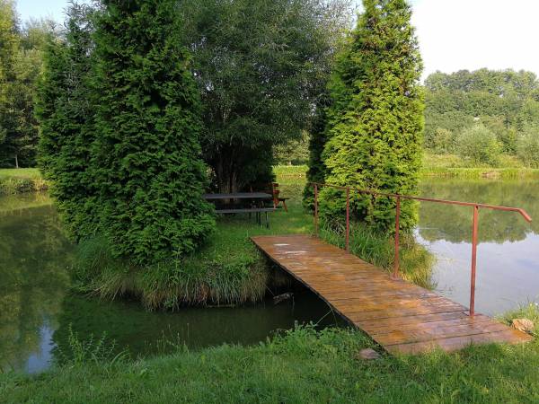 Na stawie cudowna wysepka, w sam raz na wypoczynek