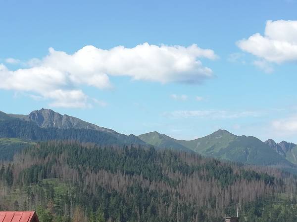 Małgorzatka pokoje w góralskim domu 