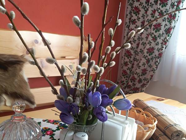 Agroturystyka Anna i Zdzisław Hagowscy