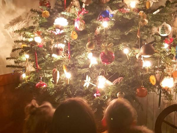 Agroturystyka Agro-Rancho