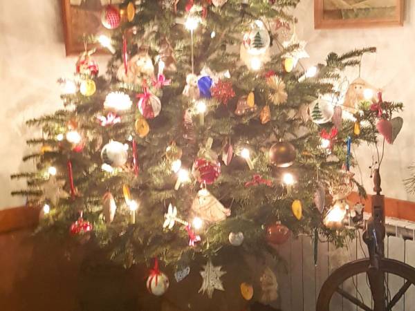 Agroturystyka Agro-Rancho