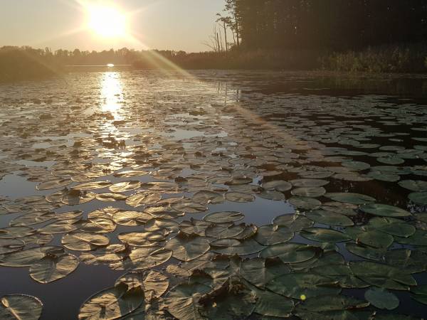 Domy na Pograniczu nad jeziorem