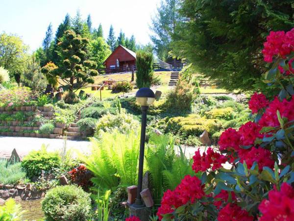 Modrzewiowe Wzgórze