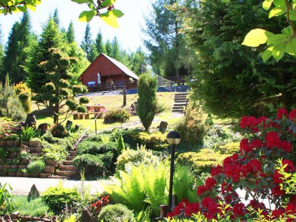 Modrzewiowe Wzgórze