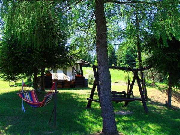 Modrzewiowe Wzgórze