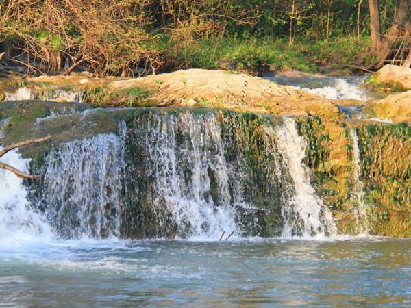 Modrzewiowe Wzgórze