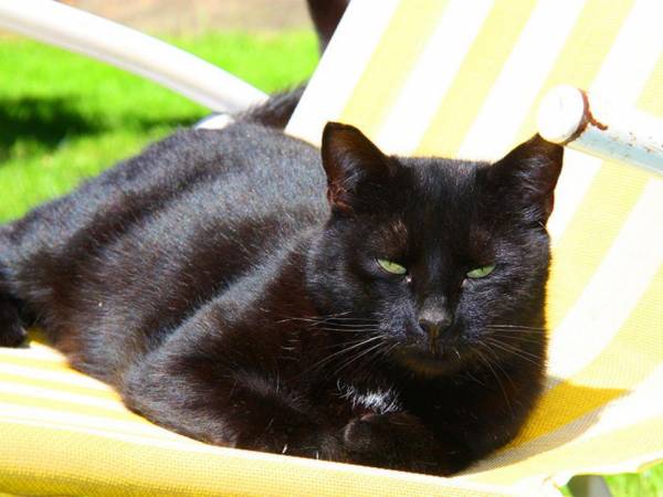 Modrzewiowe Wzgórze