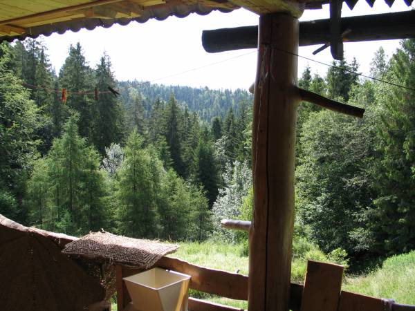 Bacówka w sercu gór