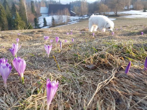 Bacówka w sercu gór