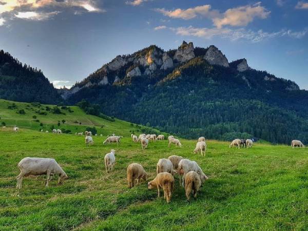 Domek Cichy Zakątek