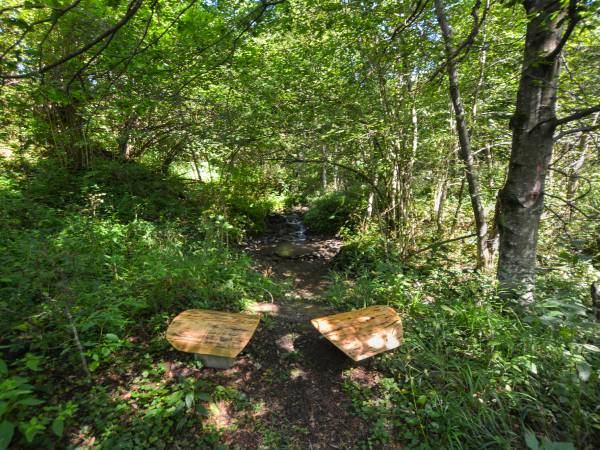 Bieszczadzkie Marzenie 