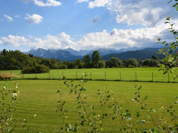 Willa Zielona Polana