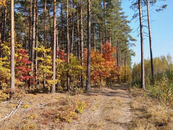 Wiatraki Nature Resort