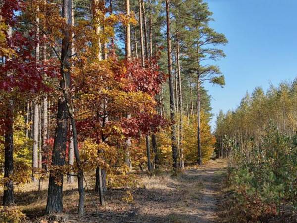 Wiatraki Nature Resort