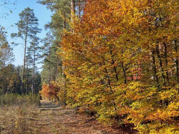 Wiatraki Nature Resort