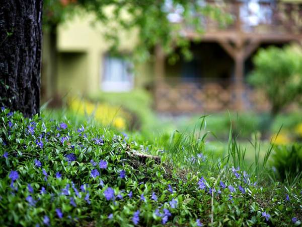 Wiatraki Nature Resort