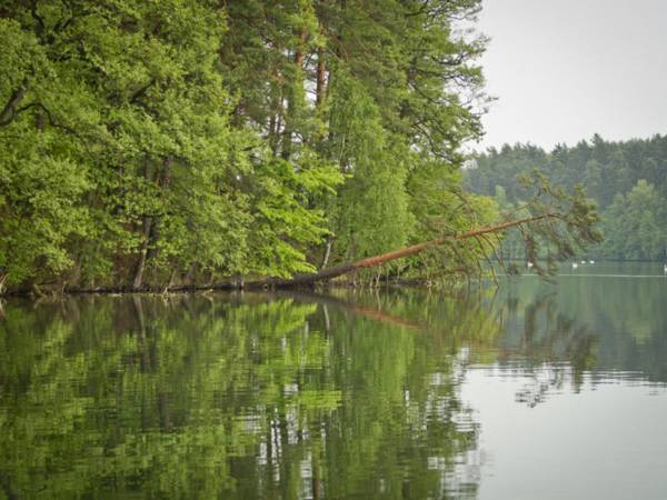 Wiatraki Nature Resort