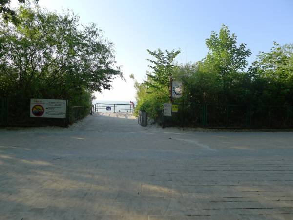 Apartament z miętą