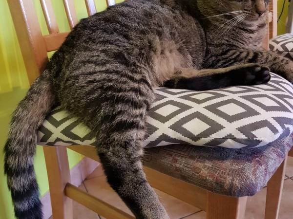 Gościniec Słoneczny