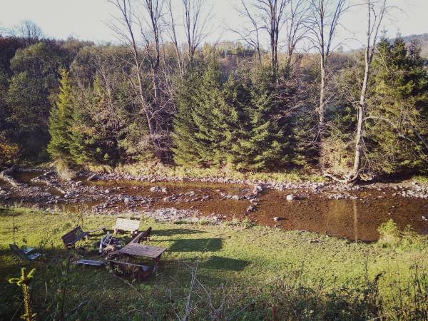 miejsce na ognisko nad potokiem