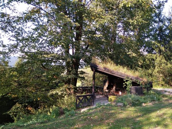 wiata zaadoptowana w przyrodzie