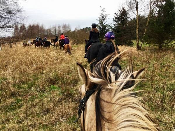 Źródło: Farma Jantar