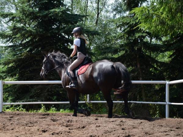 Źródło: Farma Jantar