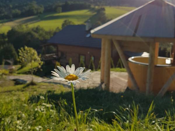 Domek w Bieszczadach Kiczurka