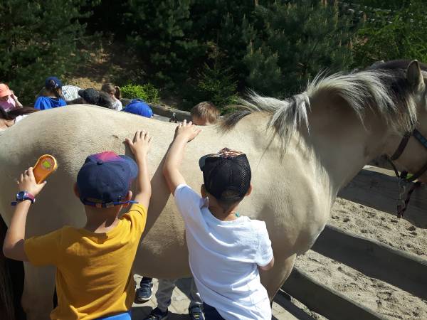 Agroturystyka-Zagroda Studzienno