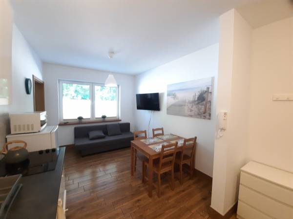 Pokój z aneksem kuchennym