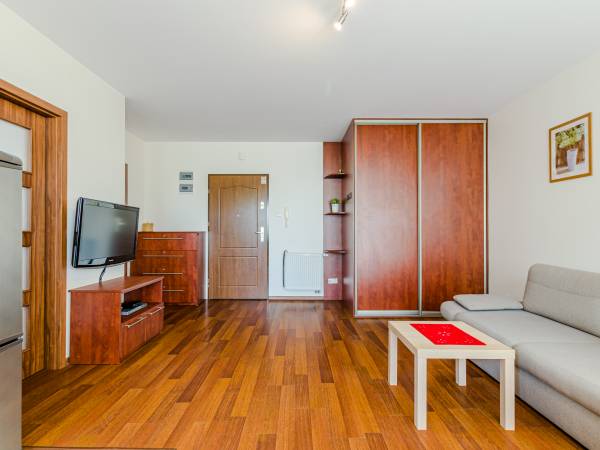 Apartament OLA