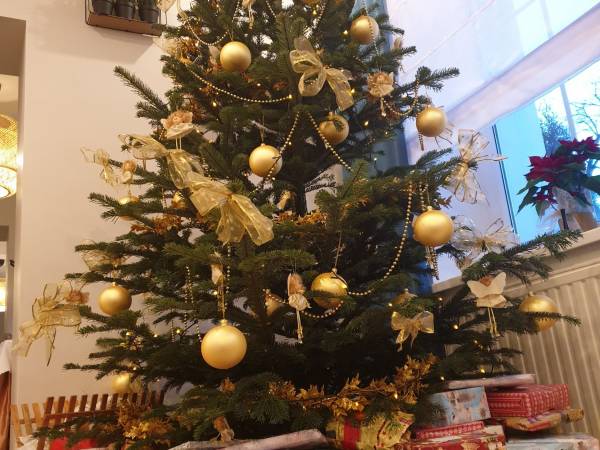 Ośrodek Wczasowy Sorrento