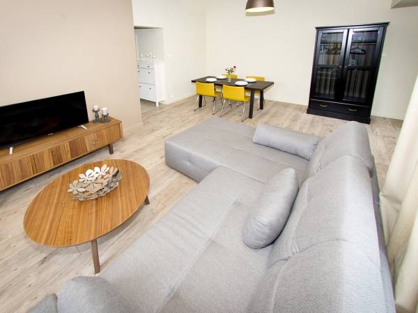 Apartament Industrialny